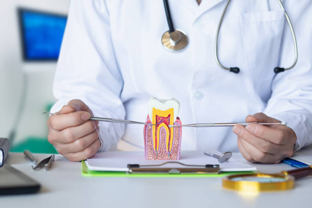 Best Cosmetic Emergency Dentistry in Breaux Bridge, LA